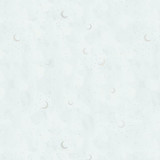 Sweet Child of Mine Minky-Digital