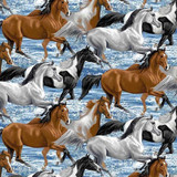 American Spirit - Digital