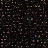 *Scary Spice - Digital