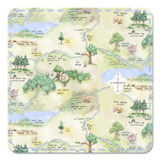 Classic Winnie Minky